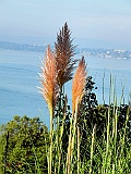 Meersburg 09.15 006