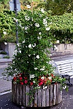 Meersburg 09.15 180
