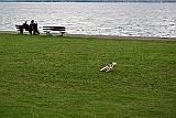 Meersburg 09.15 294