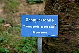 Meersburg 09.15 356