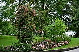 Meersburg 09.15 414