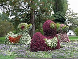 Meersburg 09.15 463