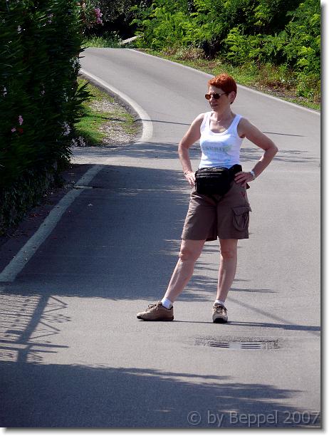 Nächstes Bild