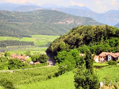 Kaltern 063