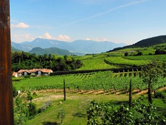 Kaltern 064