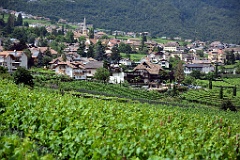 Kaltern 143