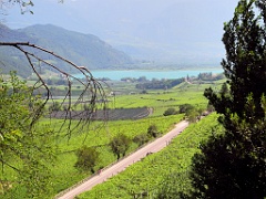 Kaltern 052