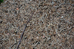 Kaltern 091