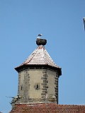 Sesslach 09.08.15-076