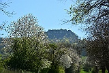 D71 1232