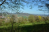 D71 1244