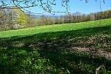 D71 1250