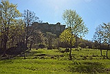 D71 1254