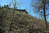 D71 1267