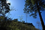 D71 1270