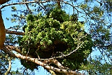 D71 1276