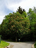 DSCN0562