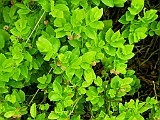 DSCN0565