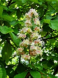 DSCN0575