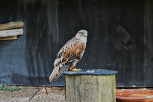 D75_03-Tambach_DxO