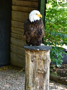 D75_04-Tambach_DxO