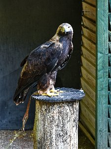 D75_05-Tambach_DxO