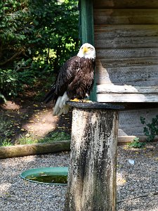 D75_06-Tambach_DxO