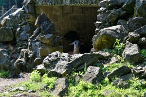 D75_07-Tambach_DxO