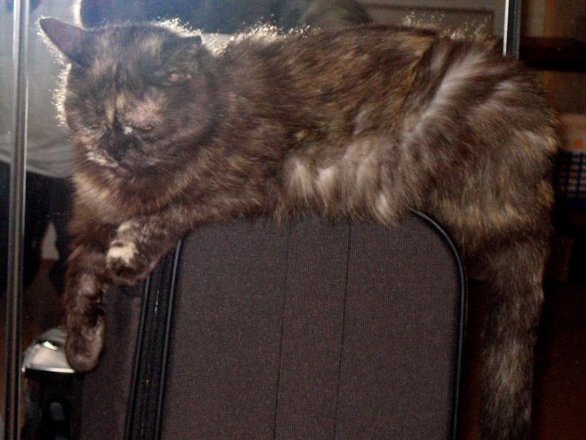 Mandy bewacht den Koffer