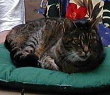 Charly von Dez. 1991 bis Dez. 2000 bei uns